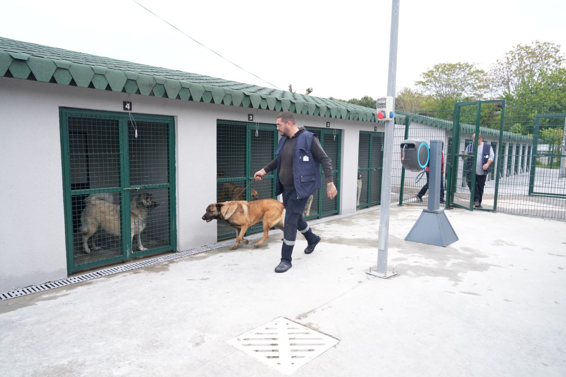 Kadıköy Belediyesi Geçici Hayvan Bakımevi yenilendi